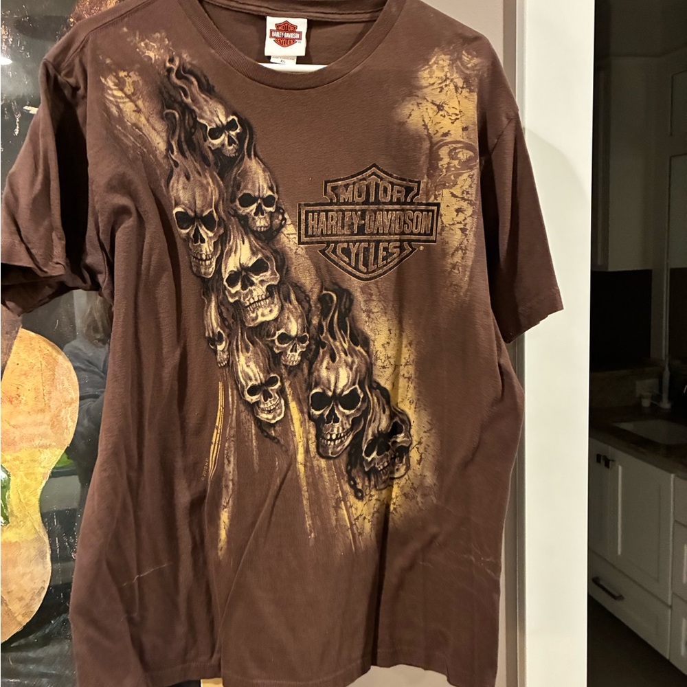 Harley-Davidson Brown Skull Graphic Tee